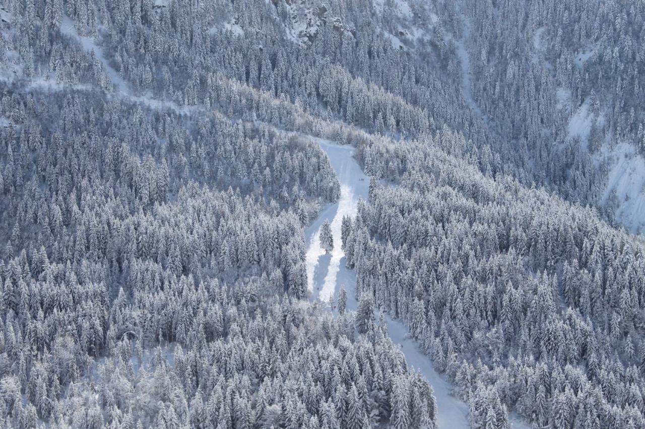 Hotel Le V De Vaujany Dış mekan fotoğraf